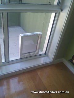 Pet door in glass